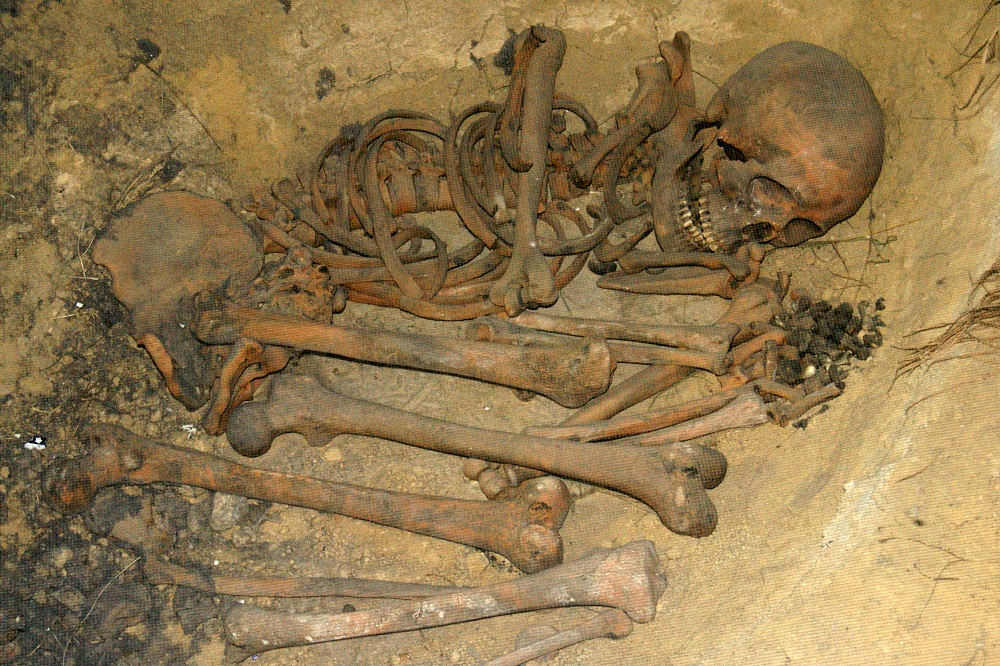 Bones under Krakow © Xanthe Hall