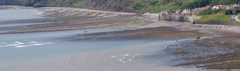 Robin Hood's Bay, 2010 (c) Xanthe Hall