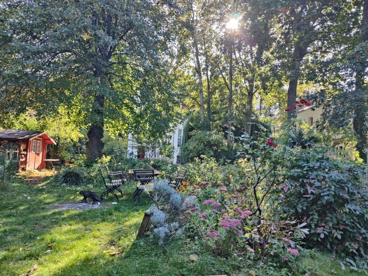 A Walk in the&nbsp;Garden