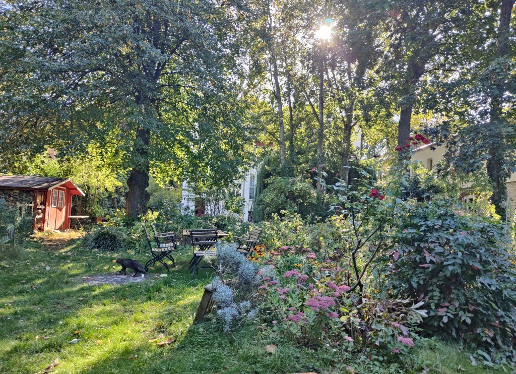 A Walk in the&nbsp;Garden